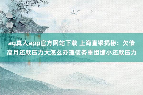 ag真人app官方网站下载 上海直银揭秘：欠债高月还款压力大怎么办理债务重组缩小还款压力