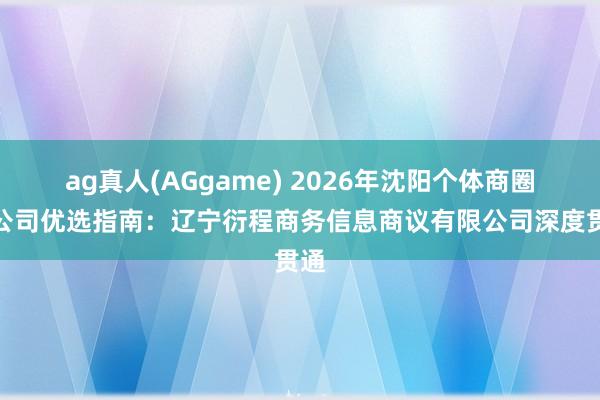 ag真人(AGgame) 2026年沈阳个体商圈贷公司优选指南：辽宁衍程商务信息商议有限公司深度贯通
