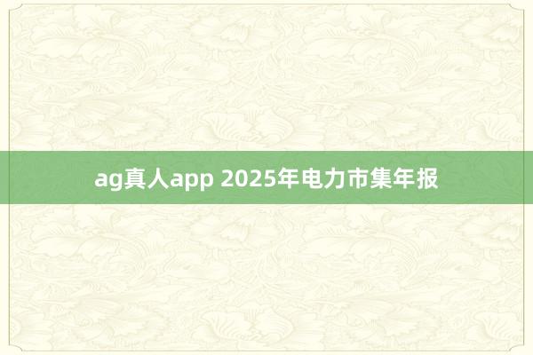 ag真人app 2025年电力市集年报