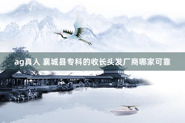 ag真人 襄城县专科的收长头发厂商哪家可靠