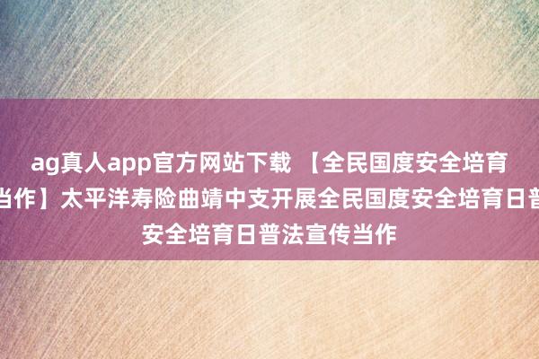 ag真人app官方网站下载 【全民国度安全培育日普法宣传当作】太平洋寿险曲靖中支开展全民国度安全培育日普法宣传当作