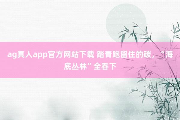 ag真人app官方网站下载 踏青跑留住的碳，“海底丛林”全吞下