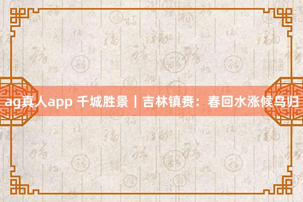 ag真人app 千城胜景｜吉林镇赉：春回水涨候鸟归