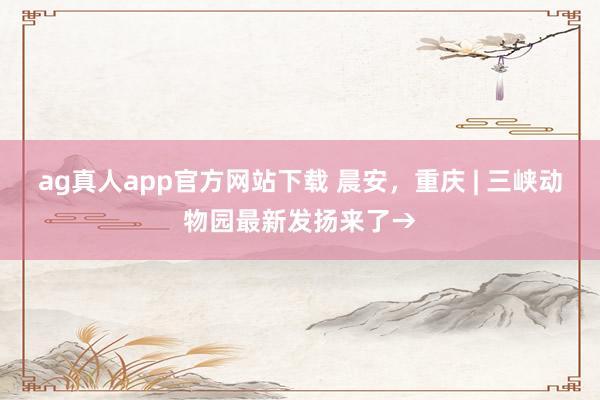 ag真人app官方网站下载 晨安，重庆 | 三峡动物园最新发扬来了→
