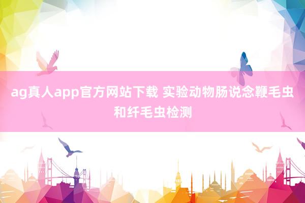 ag真人app官方网站下载 实验动物肠说念鞭毛虫和纤毛虫检测