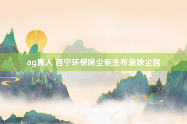 ag真人 西宁环保除尘诞生布袋除尘器