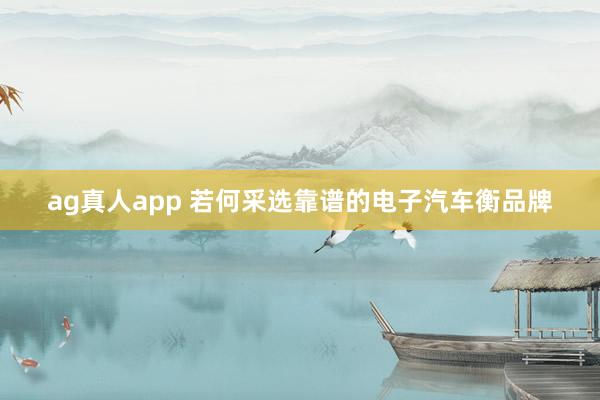 ag真人app 若何采选靠谱的电子汽车衡品牌