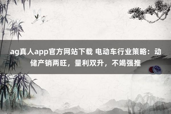 ag真人app官方网站下载 电动车行业策略：动储产销两旺，量利双升，不竭强推