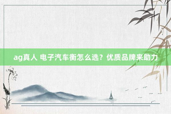 ag真人 电子汽车衡怎么选？优质品牌来助力