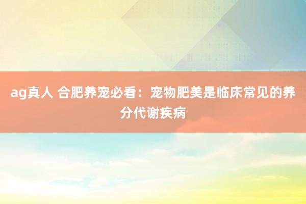 ag真人 合肥养宠必看：宠物肥美是临床常见的养分代谢疾病