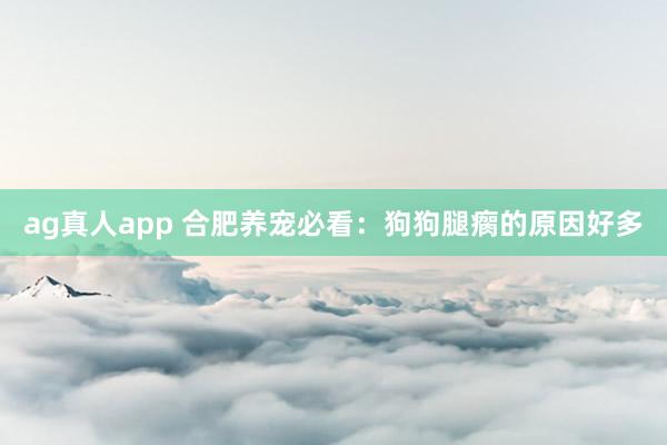 ag真人app 合肥养宠必看：狗狗腿瘸的原因好多