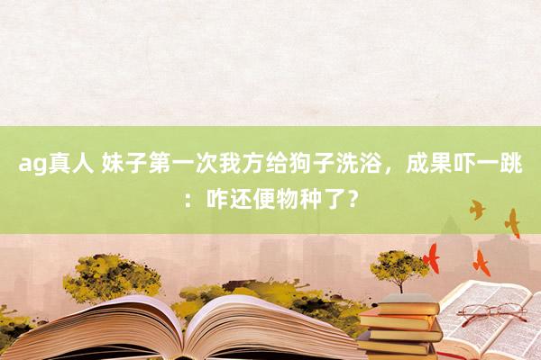 ag真人 妹子第一次我方给狗子洗浴，成果吓一跳：咋还便物种了？
