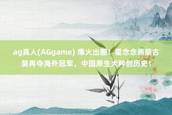 ag真人(AGgame) 爆火出圈！霍念念燕蒙古獒再夺海外冠军，中国原生犬种创历史！