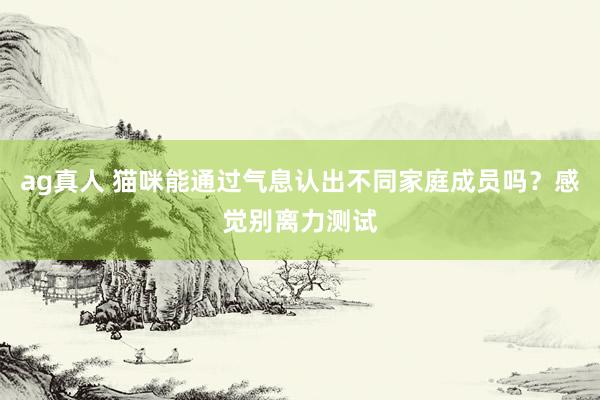 ag真人 猫咪能通过气息认出不同家庭成员吗？感觉别离力测试
