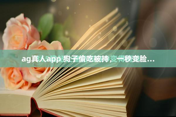 ag真人app 狗子偷吃被持，一秒变脸...
