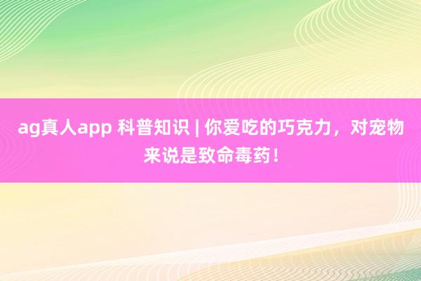 ag真人app 科普知识 | 你爱吃的巧克力，对宠物来说是致命毒药！