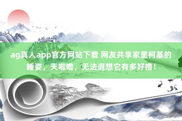ag真人app官方网站下载 网友共享家里柯基的睡姿，天啦噜，无法遐想它有多好撸！
