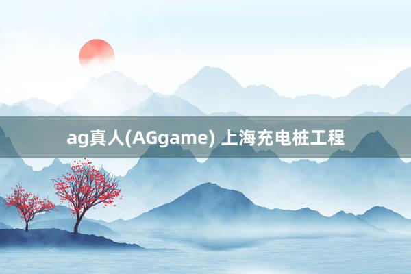 ag真人(AGgame) 上海充电桩工程