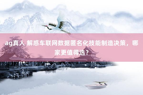 ag真人 解惑车联网数据匿名化技能制造决策，哪家更值得选？