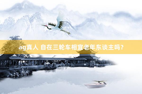 ag真人 自在三轮车相宜老年东谈主吗？