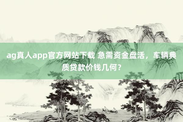 ag真人app官方网站下载 急需资金盘活，车辆典质贷款价钱几何？