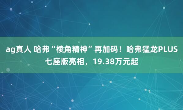 ag真人 哈弗“棱角精神”再加码！哈弗猛龙PLUS七座版亮相，19.38万元起