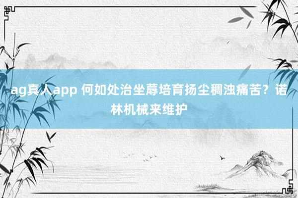 ag真人app 何如处治坐蓐培育扬尘稠浊痛苦？诺林机械来维护