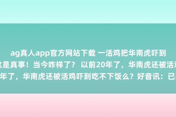 ag真人app官方网站下载 一活鸡把华南虎吓到两天没敢吃饭？别笑，这是真事！当今咋样了？ 以前20年了，华南虎还被活鸡吓到吃不下饭么？好音讯：已捕麂！