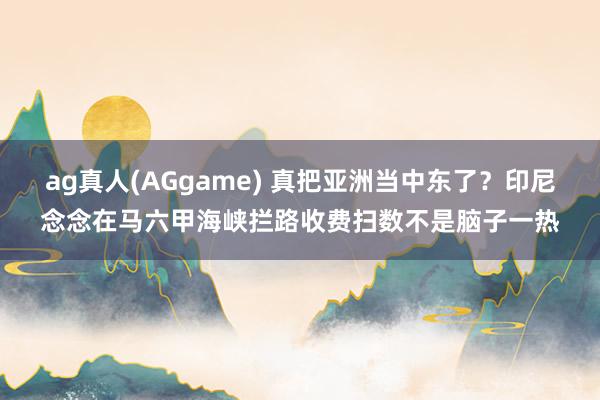 ag真人(AGgame) 真把亚洲当中东了？印尼念念在马六甲海峡拦路收费扫数不是脑子一热