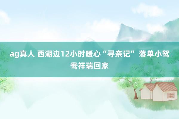 ag真人 西湖边12小时暖心“寻亲记” 落单小鸳鸯祥瑞回家