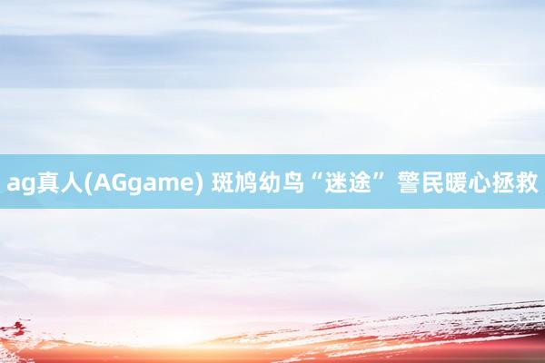 ag真人(AGgame) 斑鸠幼鸟“迷途” 警民暖心拯救