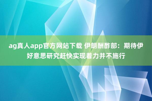 ag真人app官方网站下载 伊朗酬酢部：期待伊好意思研究赶快实现着力并不施行