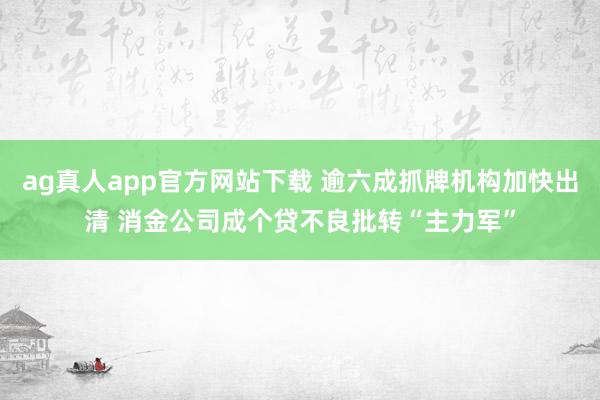 ag真人app官方网站下载 逾六成抓牌机构加快出清 消金公司成个贷不良批转“主力军”
