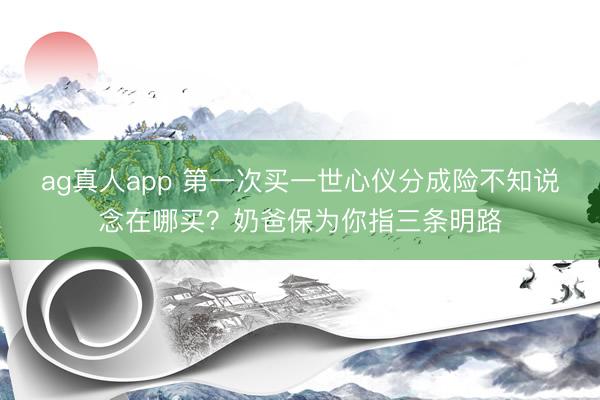 ag真人app 第一次买一世心仪分成险不知说念在哪买？奶爸保为你指三条明路