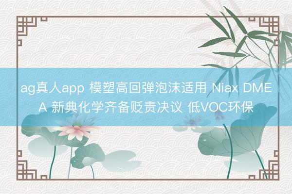 ag真人app 模塑高回弹泡沫适用 Niax DMEA 新典化学齐备贬责决议 低VOC环保
