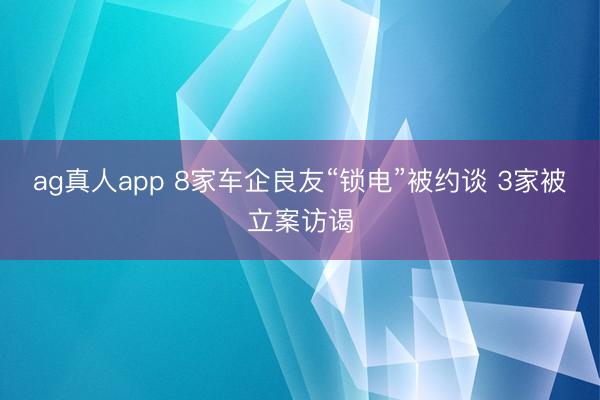 ag真人app 8家车企良友“锁电”被约谈 3家被立案访谒
